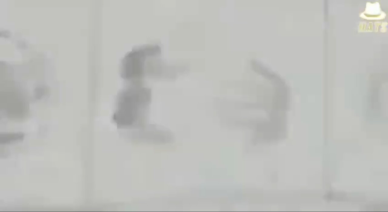 The True Development Of Our Historical Past Has Not Been Taught To Us. More Covered Up Untruths.