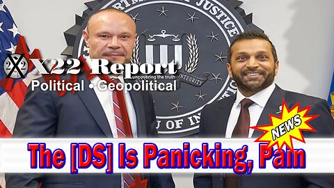 X22 Dave Report - The [DS] Is Panicking, FBI Begins Investigations, Think Logically, Pain