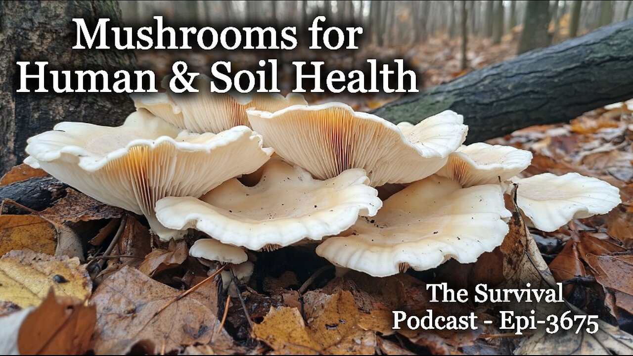 Mushrooms for Human & Soil Health - Epi-3675