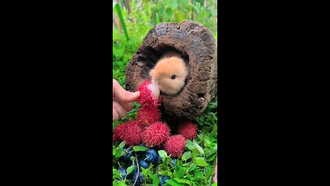 wach this video so smart 🤓