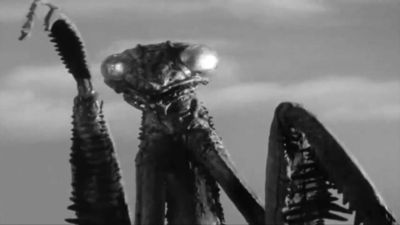 Creature Feature Nostalgia – The Deadly Mantis (1957)