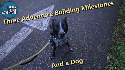 Three Adventure Building Milestones and a Dog - Six Month Goals