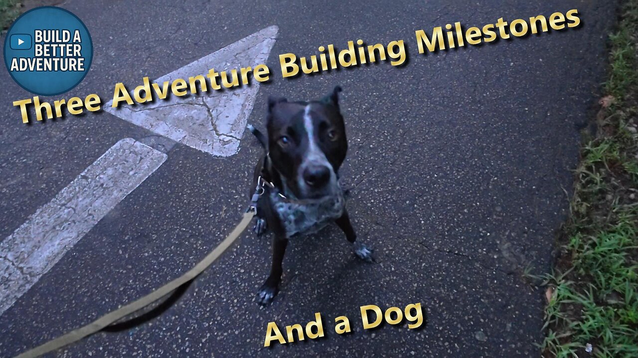 Three Adventure Building Milestones and a Dog - Six Month Goals
