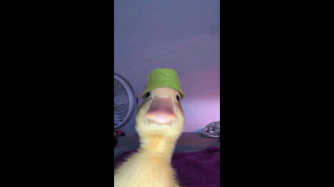 How to make 1 million dollars (MASS PRODUCTION)