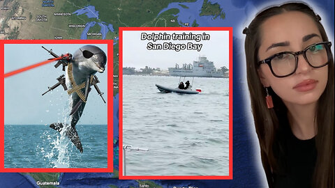GLOBAL MILITARY DOLPHINS, DEEP WATER OPS....