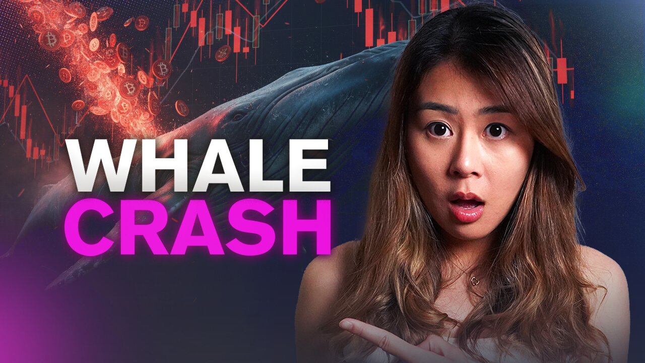 $1.3B Bitcoin Dump + Japan Bond Crisis: The Meltdown Has Only Begun | GemGem Bitcoin