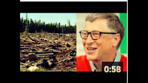 "Bill Gates Advocates for Forest Cutting and Tree Burial Initiative"