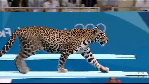 Which Animal Wins the Gold Medal?