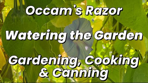 Watering Occam’s Razor’s Garden