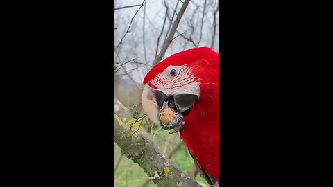 fun videos