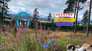 Skogpod 30. juli 2025
