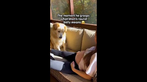 Love All Life Always #168 - Why Having A Dog For A Growing Family Can Teach Unconditional Love...