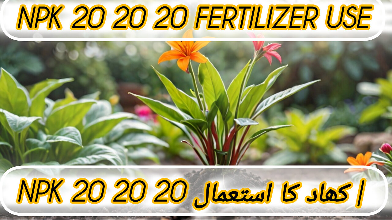 Garden growing tips on the flavor 😋 😀 on terrace and home