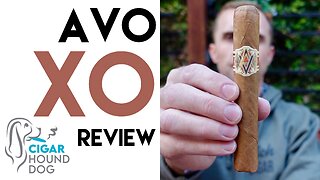 Avo XO Cigar Review