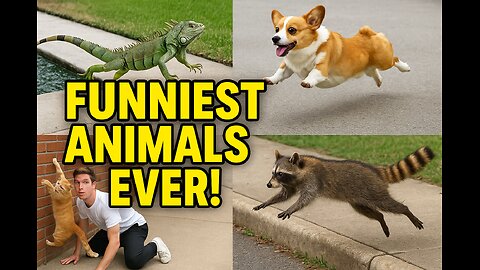🤣 The Funniest Animals Ever – You Won’t Believe These Moves!
