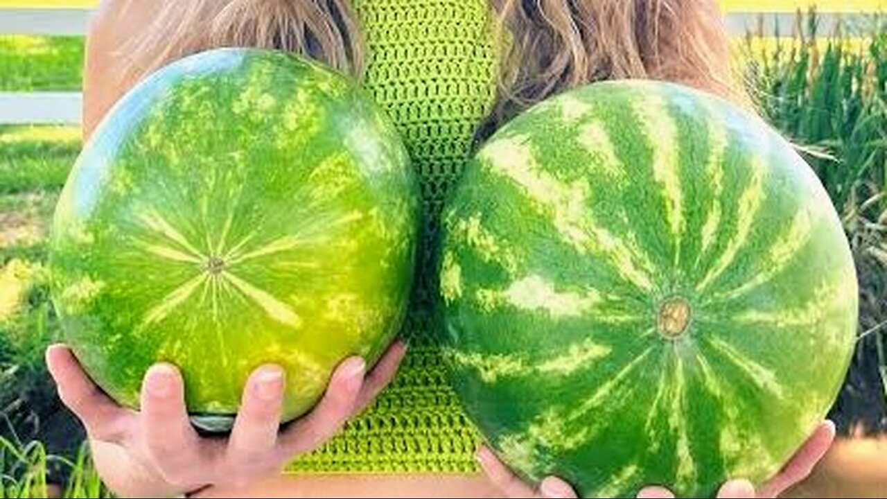 Street pranks 🤣 Nice melons 🍉