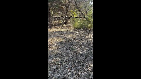 Jesus Calling February 12th!