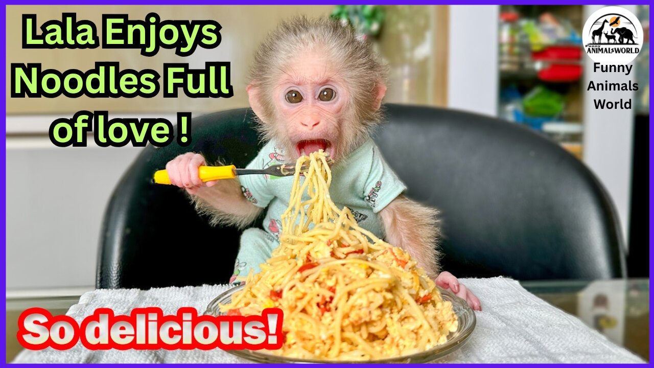 Lala Enjoys Simple Egg Noodles Full of Love !