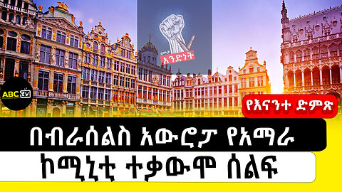 በብራሰልስ አውሮፓ የአማራ ኮሚኒቲ ተቃውሞ ሰልፍ||የእናንተ ድምጽ