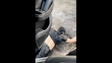 Funny Prank