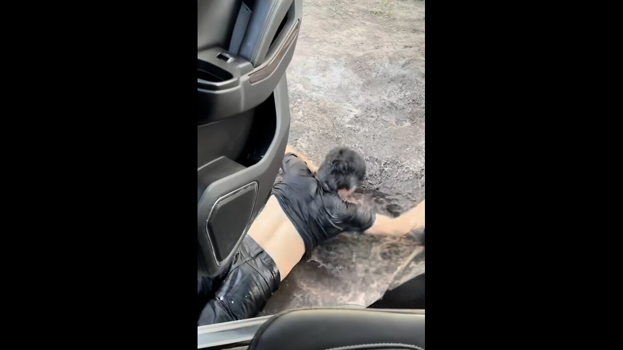 Funny Prank