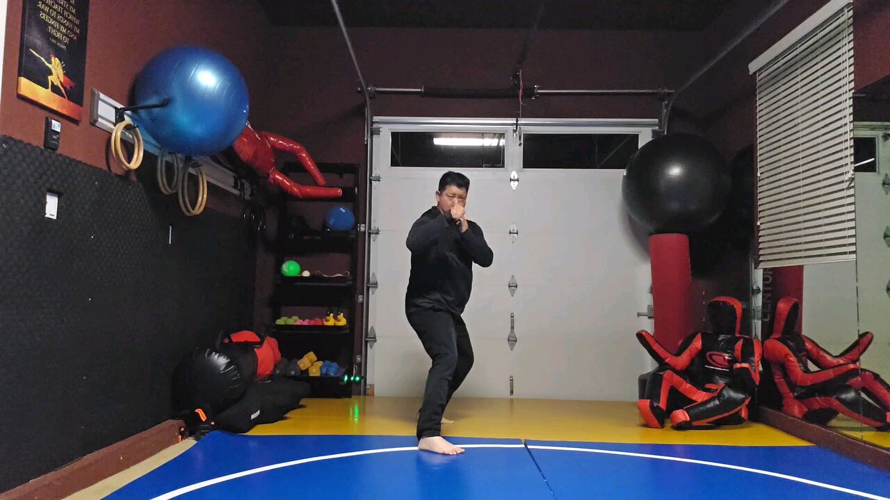WTD 2 Step Kick Combination 84