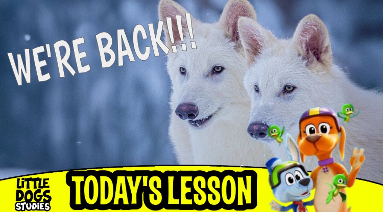 Little Dogs Studies on: The Dire Wolves are Back after 13,000 years!!