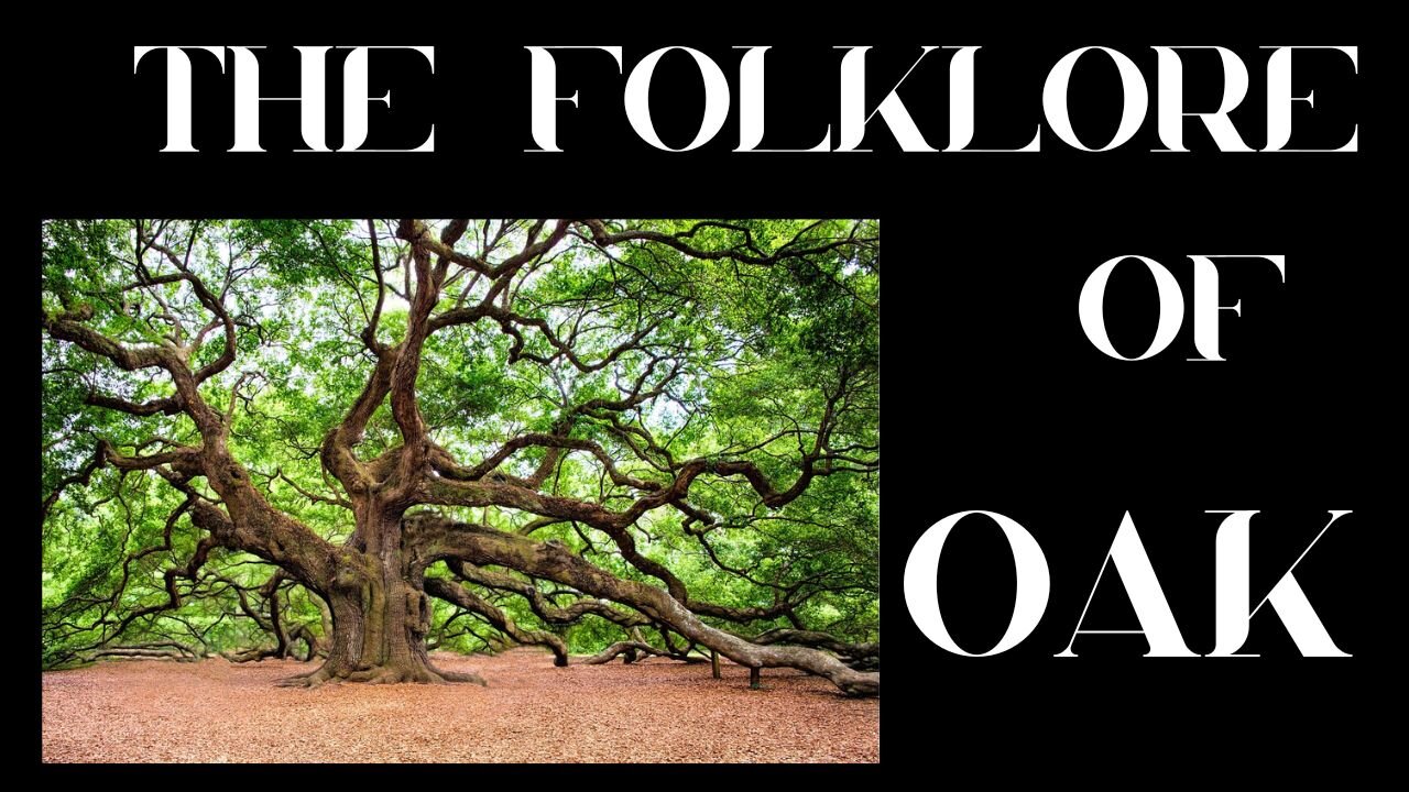 S9 Ep 4 Amazing Folklore of the Mighty Oak Tree