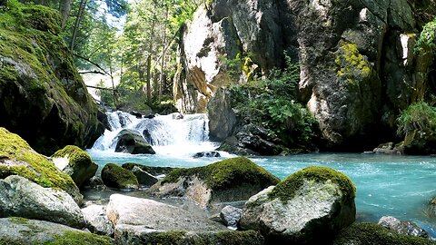 Beautiful Forest Cascade