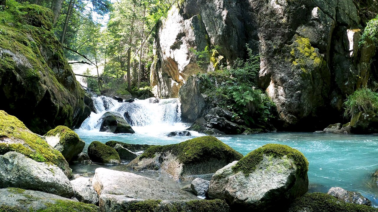 Beautiful Forest Cascade
