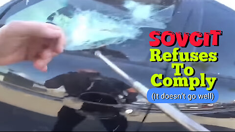 Florida Officer Lovingly Helps Sovcit Exit Vehicle