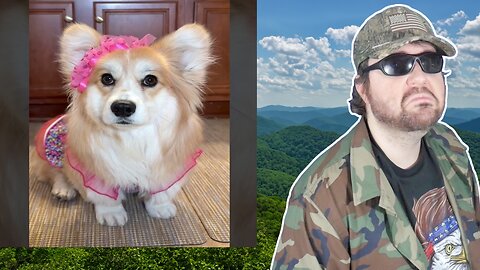 She’s A Tough Cookie (Hammy And Olivia) - Reaction! (BBT)