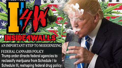 Trump order directs federal agencies to reclassify marijuana-Reaction And News Coverage