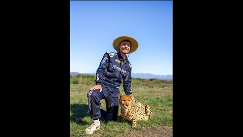 We had tigers, bears, cheetahs and lions compete against mumans