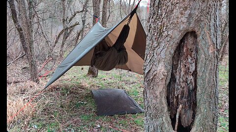Hammock Camping In National Forest