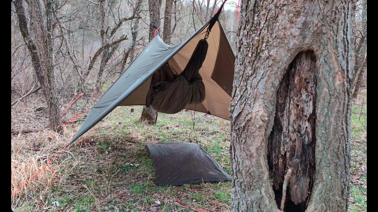 Hammock Camping In National Forest