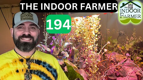 The Indoor Farmer ep 194, Striking A Balance In Your Environment Can Be Difficult. Let's Grow!