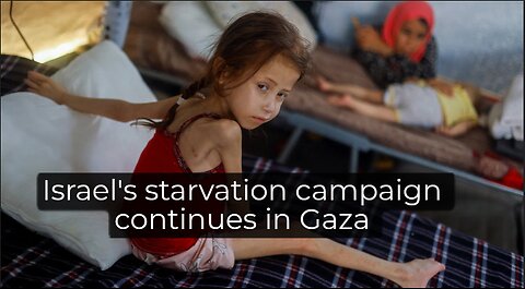 we are starving Gaza's children IT is an abomination says WHO director to media as famine loomslarge