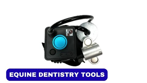 A Complete Guide to Equine Dentistry Tools – How to Find the Right Ones