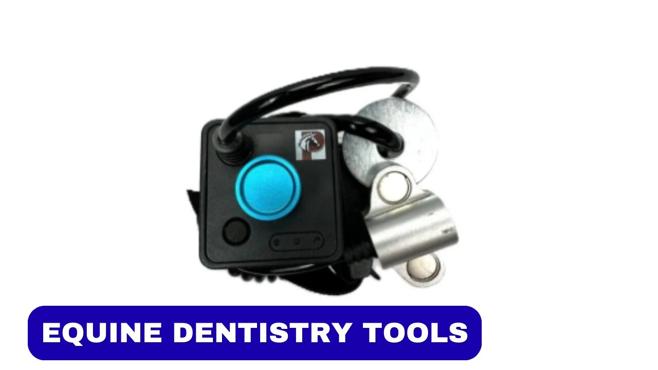 A Complete Guide to Equine Dentistry Tools – How to Find the Right Ones