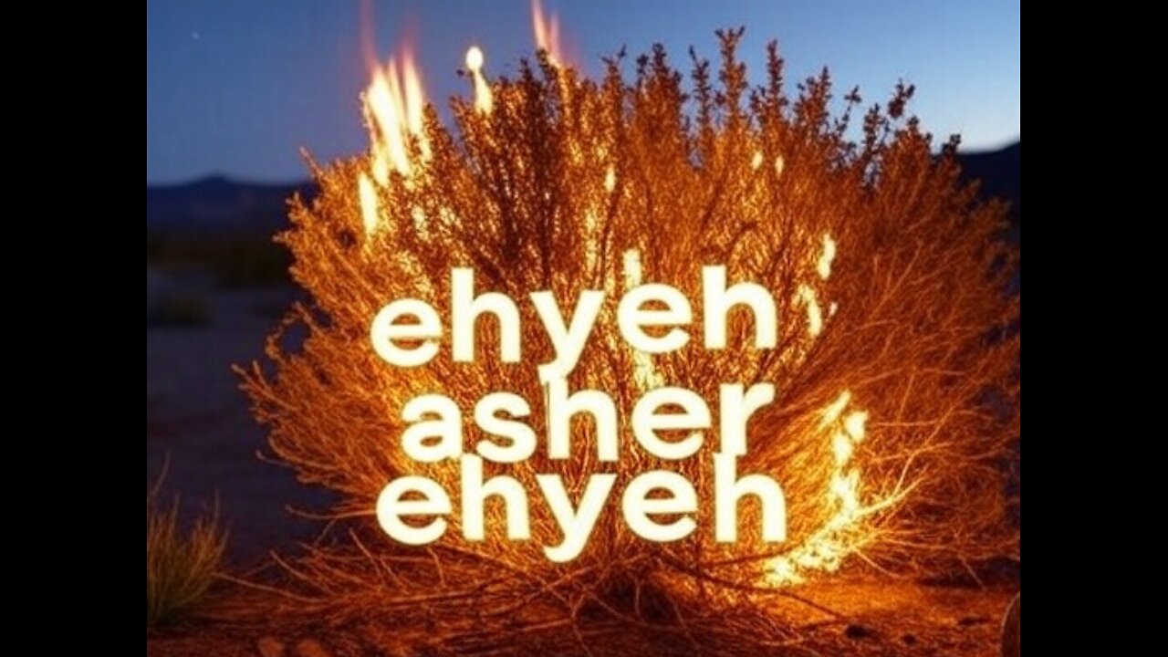 Exodus 3 : The Burning Bush Unveiling the Name of God