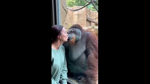 Jealousy is Natural| Funny Ending