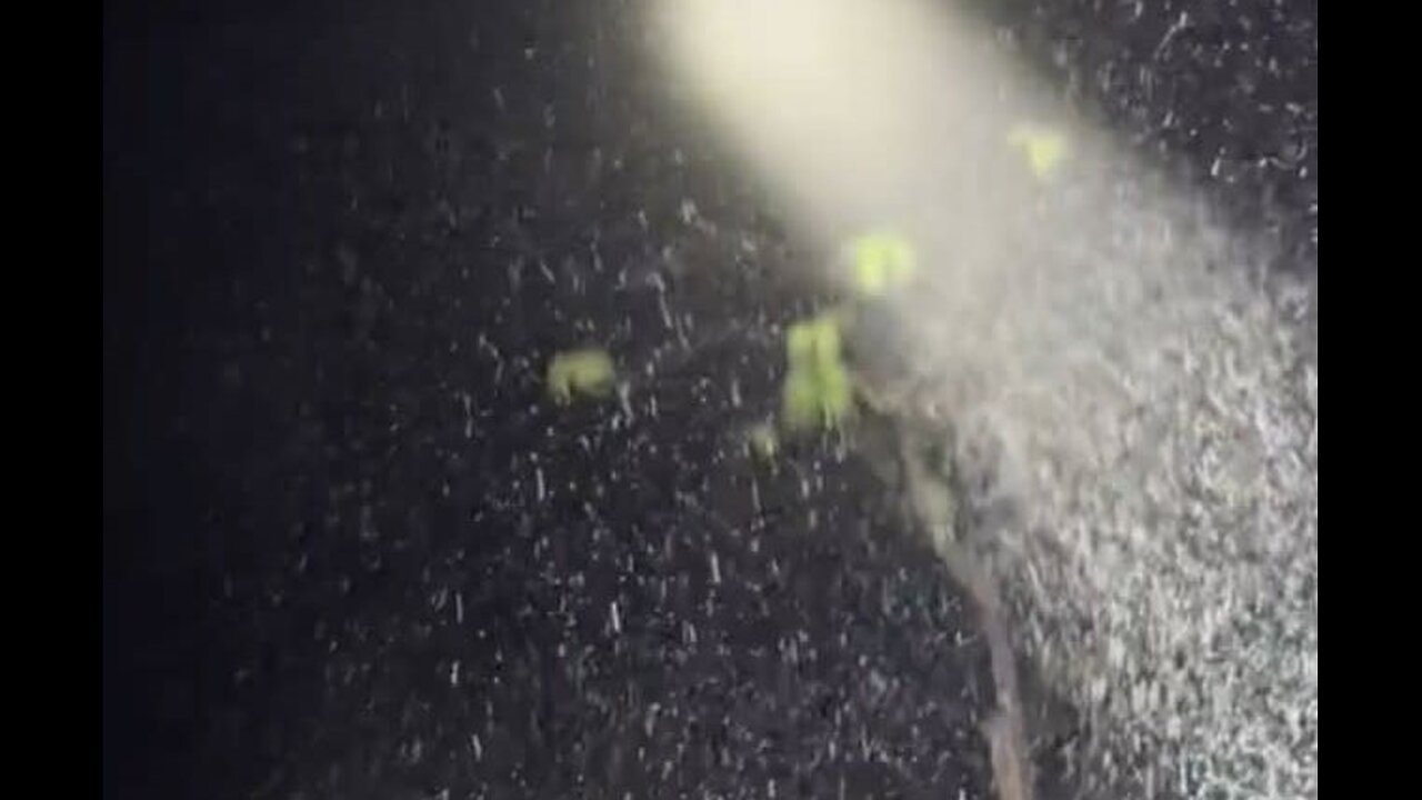 Bioweapon Fogg which contains Nano Particles and Toxic Chemicals released on Population