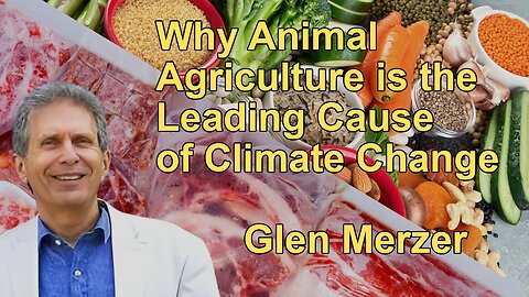 Why Animal Agriculture is the Leading Cause of Climate Change with Glen Merzer
