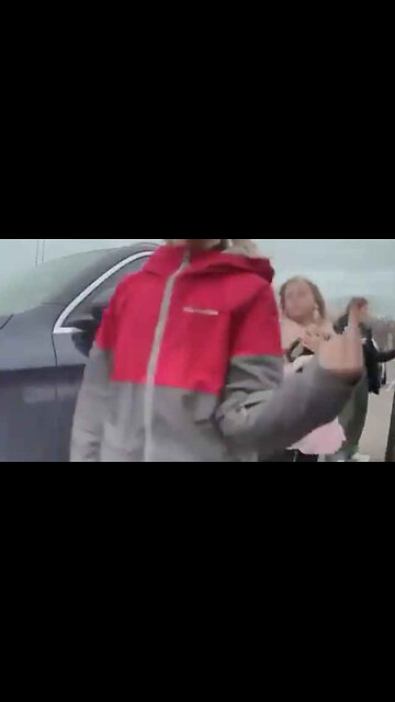 Mother Vandalizes a Tesla With Her Two Small Children