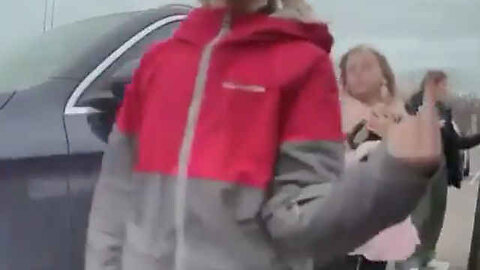 Mother Vandalizes a Tesla With Her Two Small Children