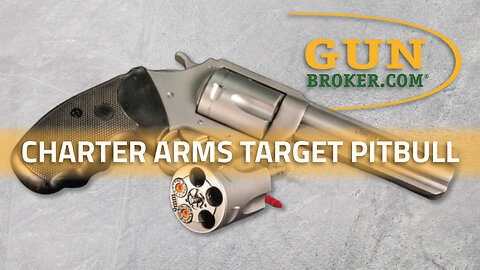 Experience Accuracy and Power with the Charter Arms Target Pitbull Revolver | GunBroker