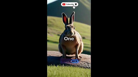 The Hare and the Tortoise – A Powerful Motivational Story | Never Underestimate Consistency