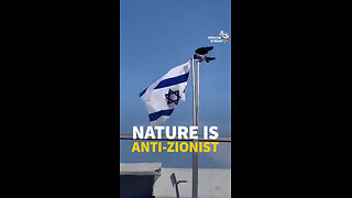 NATURE IS ANTI-ZIONIST