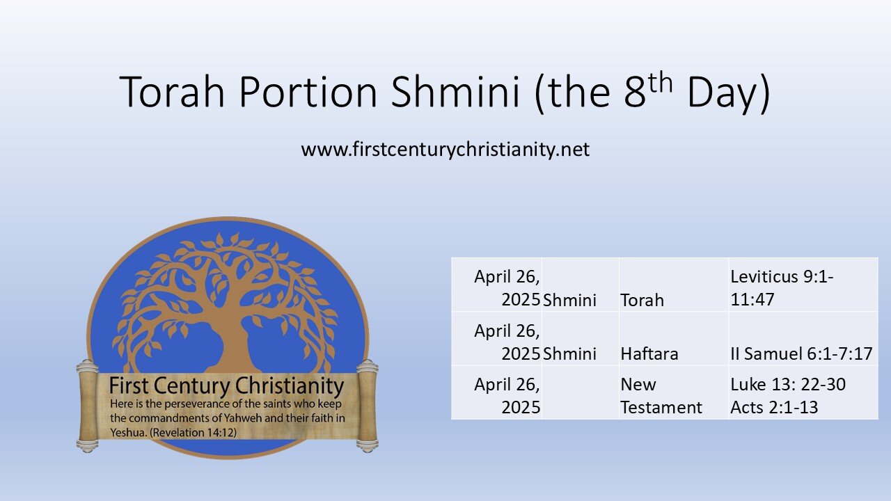 Messianic Torah Portion Shmini
